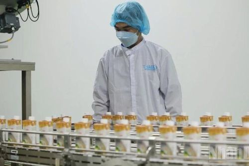 Thế mạnh chế biến nông sản ở Đồng Tháp
