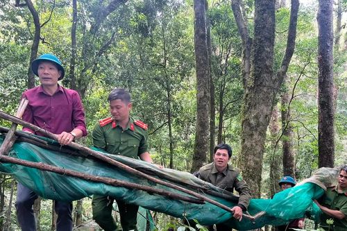 Giúp dân khôi phục vườn sâm bị bão tàn phá