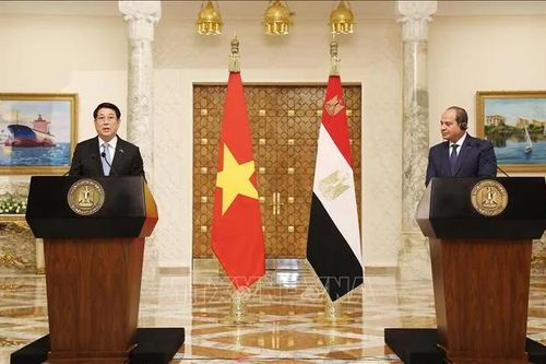 Truyền thông Ai Cập: Chuyến thăm của Chủ tịch nước Lương Cường đánh dấu bước tiến thực chất trong quan hệ hai nước