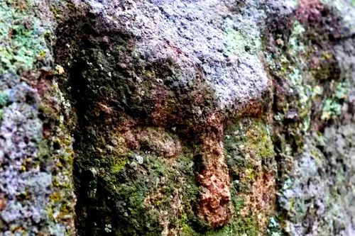 Phát hiện chấn động khuôn mặt người khắc đá thời Đồ Đồng