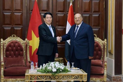 Chủ tịch nước Lương Cường hội kiến Chủ tịch Thượng viện Ai Cập