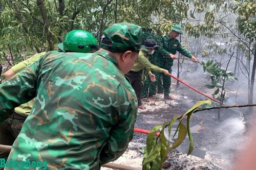 BĐBP thành phố Huế phối hợp dập tắt kịp thời đám cháy rừng tại xã Phú Vinh