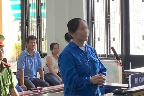 Lừa đảo hơn 2,6 tỷ đồng, nữ tiểu thương lĩnh án 13 năm tù