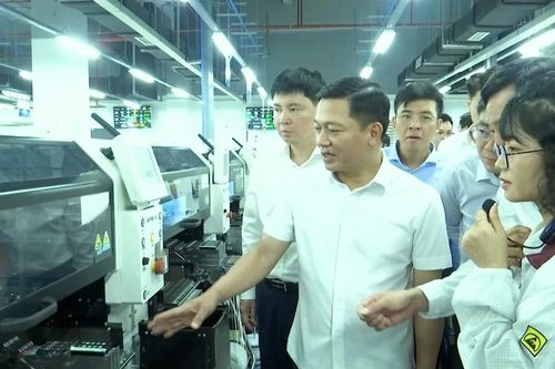 Kiểm tra, rà soát dự án tỷ USD ở Ninh Bình