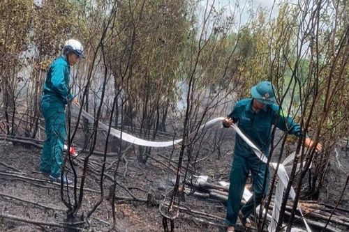 Kịp thời dập tắt cháy rừng ở giáp biên giới