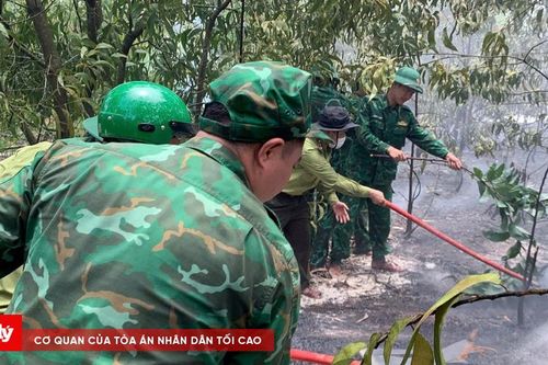 Kịp thời khống chế vụ cháy rừng tại TP Huế