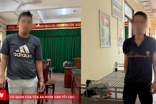 Bắt giữ hai đối tượng cướp giật có nhiều tiền án
