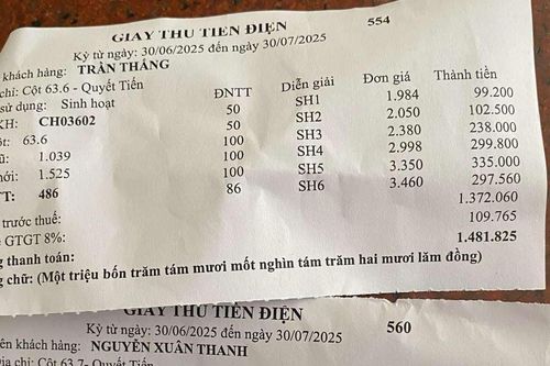 Hóa đơn tiền điện 2 hộ ở Phú Thọ giống hệt nhau: EVN không phát hành, dân nghi ngờ có sai sót