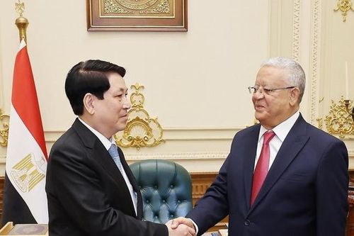 Chủ tịch nước Lương Cường hội kiến Chủ tịch Hạ viện Ai Cập