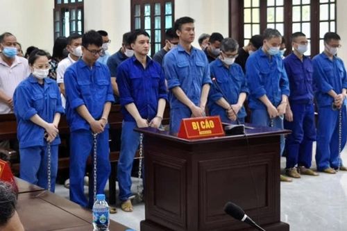 Vụ buôn lậu gỗ qua cảng Hải Phòng: Hơn 8 tỉ đồng 'bôi trơn' để thông quan trái phép
