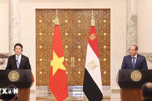 Chủ tịch nước Lương Cường và Tổng thống Ai Cập gặp gỡ báo chí sau hội đàm