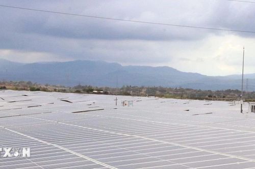 Tích hợp năng lượng tái tạo vào chuỗi giá trị nông nghiệp
