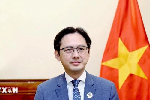 Nhật Bản ủng hộ Việt Nam đảm nhiệm chức Chủ tịch NPT RevCon