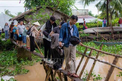 Cồn Sơn - nơi bản sắc địa phương chạm tới trái tim du khách