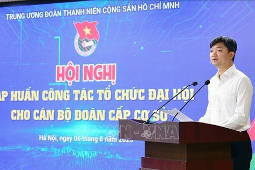 Tập huấn các nội dung chuẩn bị Đại hội Đoàn các cấp nhiệm kỳ mới