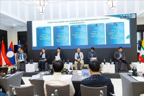 Hội thảo quốc tế quan chức lâm nghiệp ASEAN lần thứ 23