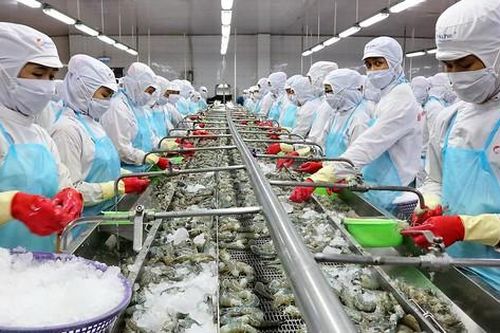 Doanh thu đi xuống, lợi nhuận Minh Phú vẫn tăng vọt nhờ cắt giảm chi phí