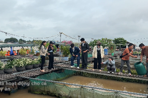 Cồn Sơn: Bản giao hưởng mộc mạc của văn hóa miền Tây