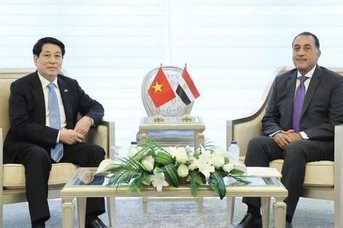 Thủ tướng Ai Cập đề xuất thành lập Hội đồng kinh doanh Việt Nam - Arab