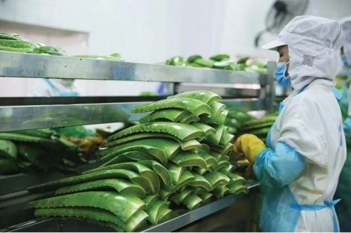 AIG trở thành công ty mẹ nắm quyền chi phối GC Food