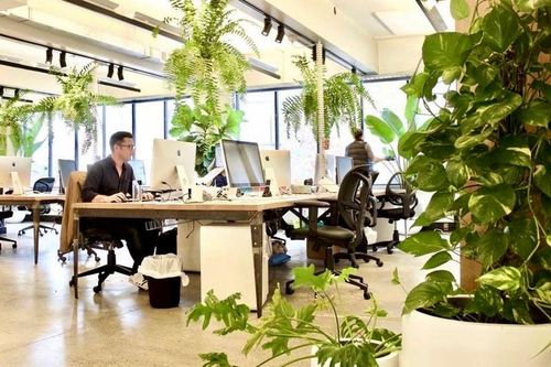 Nhu cầu nhân lực xanh tăng cao toàn cầu