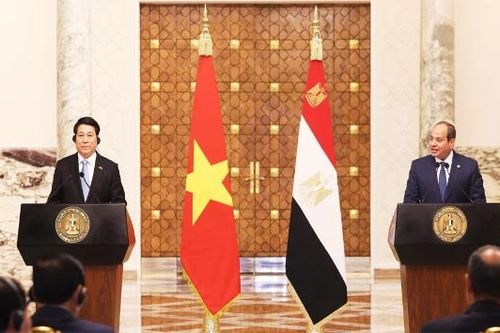 Truyền thông Ai Cập: Chuyến thăm của Chủ tịch nước Lương Cường đánh dấu bước tiến thực chất trong quan hệ hai nước