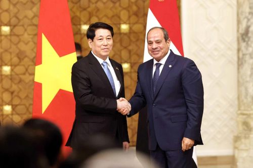 Chủ tịch nước Lương Cường hội đàm với Tổng thống Ai Cập