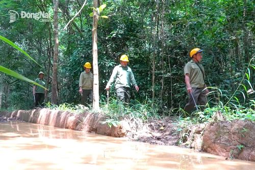 Ban Quản lý rừng phòng hộ Tân Phú: Vượt khó giữ rừng