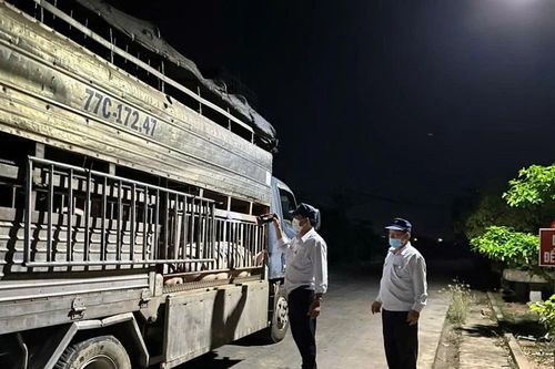 Gia Lai: Kiểm soát giết mổ, đảm bảo thịt heo sạch đến tay người tiêu dùng