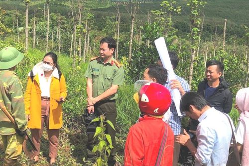 Nhiều hệ lụy khi cho thuê vườn