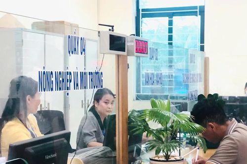 Hiền Quan quyết tâm bứt phá