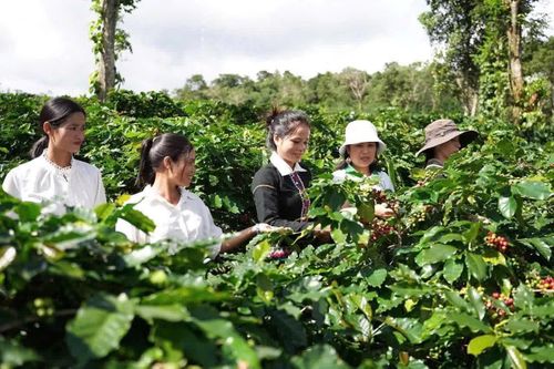 Khe Sanh, câu chuyện kể mãi...