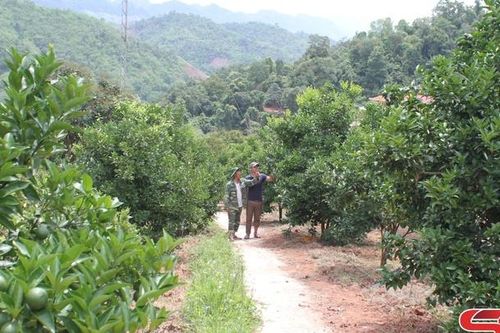Màu xanh biên giới Chiềng Sơn