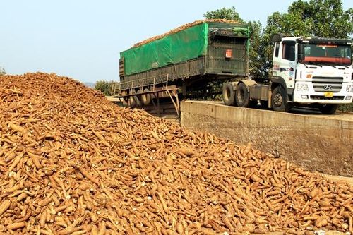 Tạo môi trường thuận lợi cho doanh nghiệp