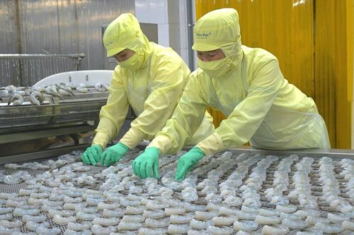 Tập trung làm hàng giá trị cao, Thủy sản Minh Phú (MPC) báo lãi cao nhất 10 quý