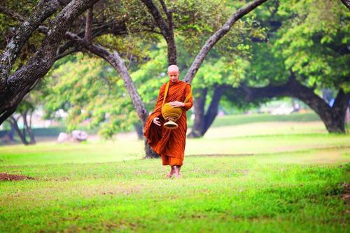 An trú thiền động