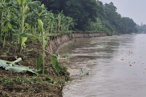 Nguyên nhân ban đầu vụ sạt lở đê tả sông Hồng ở Phú Thọ