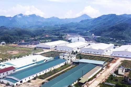 Quảng Ninh: Thực hiện nghiêm việc quản lý, phát triển cụm công nghiệp trên địa bàn tỉnh