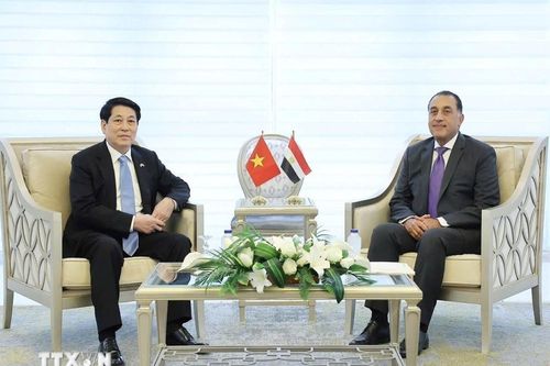 Thủ tướng Ai Cập đề xuất thành lập Hội đồng kinh doanh Việt Nam - Arab
