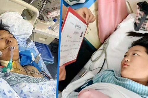 Cha nghẹn ngào đưa giấy báo đỗ đại học tới giường bệnh, con gái tỉnh lại kỳ diệu sau 8 ngày hôn mê