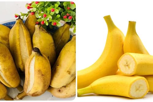 Chuối thơm ngon, bổ dưỡng nhưng 3 nhóm người này cần thận trọng