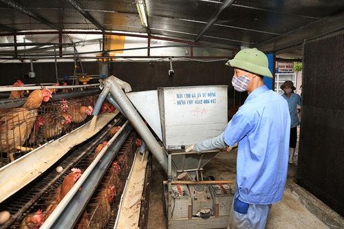 Quỹ Khuyến nông thành phố: 'Bà đỡ' phát triển kinh tế cho nông dân