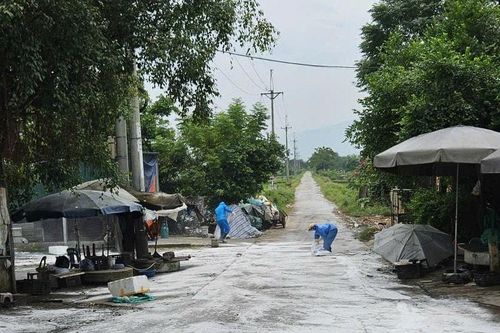 Xã Kiều Phú phòng bệnh dịch tả lợn châu Phi từ xa, chặn từ gốc