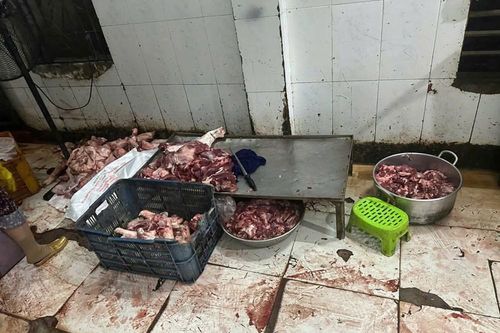 Phát hiện, tiêu hủy hơn 1 tấn thịt lợn không rõ nguồn gốc