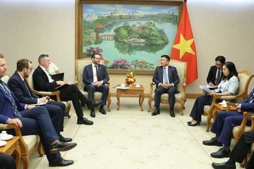 Thu hút các cơ sở giáo dục đại học quốc tế uy tín thành lập phân hiệu tại Việt Nam