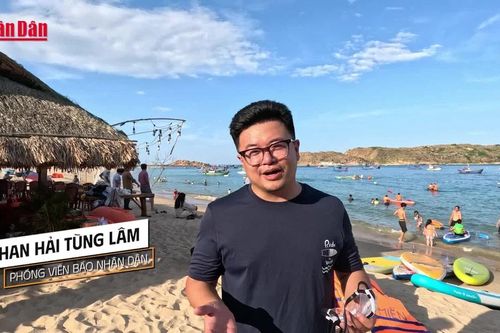 Bí ẩn 'tường thành cổ' dưới lòng biển Gia Lai
