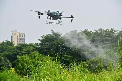 Trung Quốc triển khai máy bay không người lái kiểm soát dịch Chikungunya