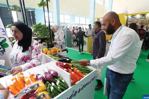Algeria xây dựng hệ thống lương thực bền vững