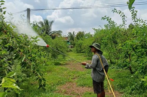 Đột phá với nông nghiệp thông minh