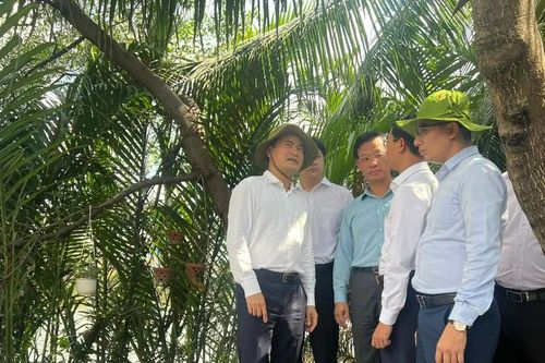 Ngày 13-8, TPHCM khởi công Dự án cải tạo bờ Bắc Kênh Đôi